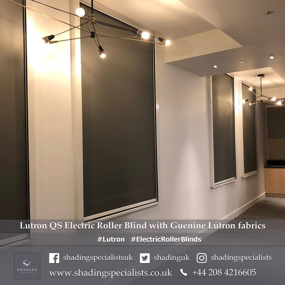 Lutron Shading Specialists